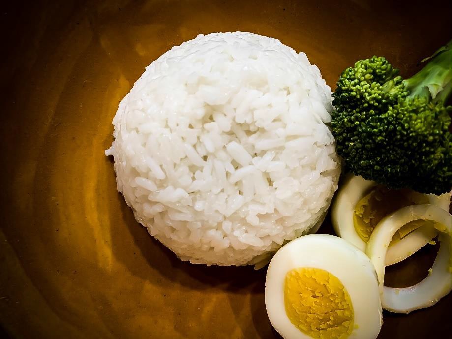 MARS Egg Meal