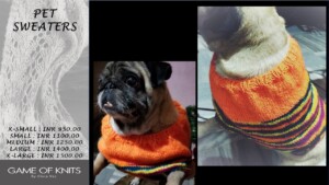 Pet Sweater